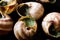 Escargots de Bourgogne - Snail Food with herbs butter, France gourmet dish.