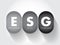 ESG - Environmental Social Governance acronym - evaluation of a firm’s collective consciousness