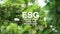 ESG environmental social governance investment business concept. ESG icons. Business investment strategy concept.