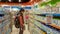 Eskisehir, Turkey - April 08, 2017: Young woman in baby food section in a supermarket in Eskisehir, Turkey