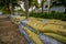 Esmeraldas, Ecuador - March 16, 2016: Sandbags to protect against the flood by tsunami in Same Beach, Casablanca