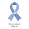 Esophageal Cancer awareness month in April. Adenocarcinoma. Squamous cell carcinoma. Periwinkle color of the ribbon