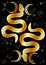 Esoteric Mystical occult magical sacral snakes with stars and constellations in gold