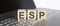 ESP abbreviation stands for written on a wooden cube on laptop