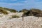 Espalmador islet make up the best preserved dune system of the Balearic Islands. It is part of the Parque Natural de las