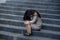 Esperate businesswoman crying alone sitting on street staircase suffering stress and depression crisis being victim of mobbing or