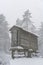 Espigueiro traditional structure for corn storage on a snow white winter landscape with snow falling in the north of Portugal