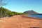 Espumilla beach with red ghost crabs, Santiago Island, Galapagos