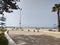 Essaouira cornice Araucaria trees at Atlantic sea