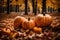 the essence of autumn with pumpkins as the central element. Ensure perfect lighting, no noise, and ultra-realistic clarity to