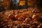 the essence of autumn with pumpkins as the central element. Ensure perfect lighting, no noise, and ultra-realistic clarity to