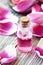 Essence Bottle with Soft Pink Petals