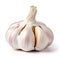 The Essence of Flavor: Isolated Raw Garlic on White Background - Culinary Inspiration