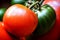 The Essence of Freshness A Macro Journey into the Tomato s Richness.AI Generated