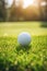 Essence of Golfing on a Dreamy Day with a Ball in the Foreground against a Sunlit Horizon