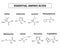 Essential amino acids. A set of amino acids. Chemical molecular formulas of amino acids. Vector illustration on isolated