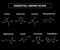 Essential amino acids. A set of amino acids. Chemical molecular formulas of amino acids. Vector illustration on isolated