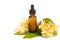 Essential aroma oil with champaka flower