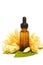 Essential aroma oil with champaka flower