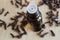 Essential clove oil