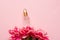 Essential cosmetic oil on pink background with spring flowers with a copy space