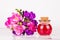 Essential flower oil. Spa concept. Magic elixir