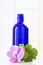 Essential geranium oil in bottle and flowers