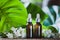 Essential Jasmine oil. Bioproduct, organic cosmetics