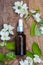 Essential Jasmine oil. Bioproduct, organic cosmetics. Perfumery, cosmetology, aromatherapy