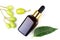 Essential neem oil in bottle glass for healthy.