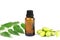 Essential neem oil in bottle glass for healthy.