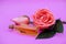Essential oil in a bottle extracted from rose leads to a perfume product with important ingredients extracted from roses