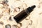 Essential oil bottle on a sandy beach with shells. Aroma oil bottle on a summer beach. Summer vacation essential oil