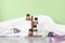 Essential oil bottles for composing various perfume fragrances on natural ingredients. Eco-friendly aromatherapy
