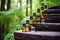 essential oil bottles on wooden steps in a forest