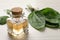 Essential oil of broadleaf plantain on light wooden table, closeup. Space for text