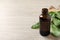 Essential oil of broadleaf plantain on light wooden table. Space for text