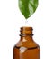 Essential oil dripping from green leaf into bottle