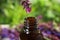 Essential oil dripping from sage flower into glass bottle on blurred background