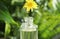 Essential oil dripping from wild flower into glass bottle on blurred background