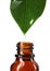 Essential oil drop falling from green leaf into glass bottle on white background