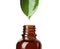 Essential oil drop falling from green leaf into glass bottle on white background