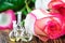 Essential oil in glass bottle with rose flowers on wooden background. Small bottles of perfume. Beauty treatment. Spa concept. Sel
