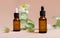 Essential Oil & Herbs: A Natural Path to Wellness