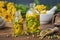 Essential oil or infusion bottles of tansy healthy herbs, blooming tansy plants on background.