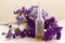 Essential oil in matt bottle on purple flowers blur background.