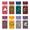 Essential oil tags collection. Sandalwood, patchouli, Ylang-ylang, neem, neroli, lemongrass, Eucalyptus, jasmine