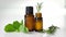 Essential oils in dark glass bottle with aroma herbs and Fresh leaves of basil and rosemary