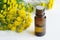 Essential tansy oil