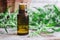 Essential wormwood oil